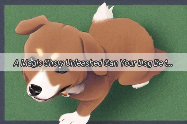 A Magic Show Unleashed Can Your Dog Be the Ultimate Performer